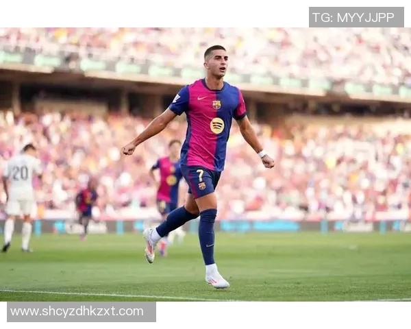 费兰托雷斯：从青训新星到世界足坛的璀璨明珠之路